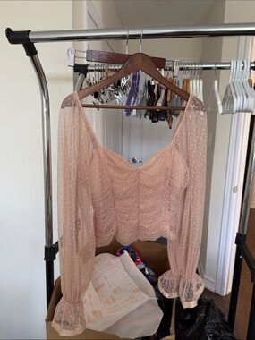 Romantic Blush Sheer Ruffle Long-Sleeve Crop Top